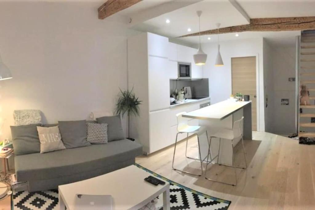 Duplex Aux Carmes Appartement